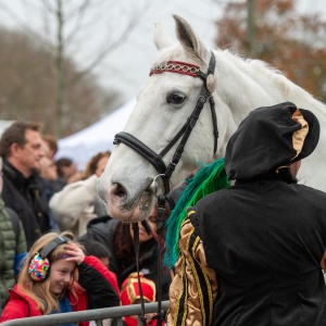 2025-11-15 Sint intocht-166